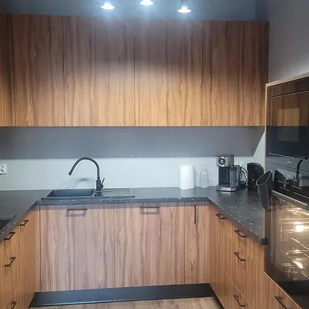 Loftowy - 15 Min Od Starowki W Gdansku Апартаменты Гданьск